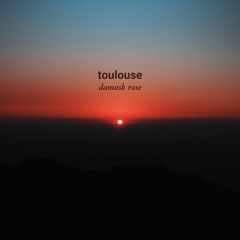 Toulouse - Damask Rose
