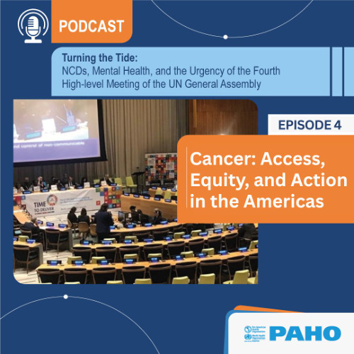 Cancer: Access, Equity, and Action - UNGA Fourth High-Level Meeting on NCDs and Mental Health