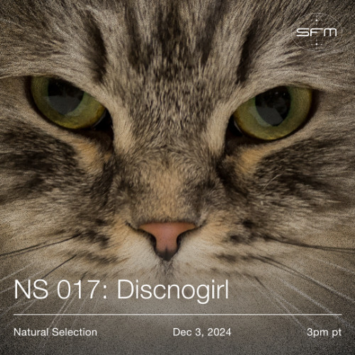 Natural Selection: Discnogirl