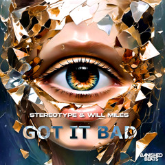 Stereotype & Will Miles - Got It Bad (Banished Beats)