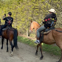 Valle del cocora live set