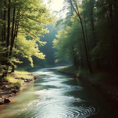 paths_of_the_heart_fadebab6-e8d4-4672-ae09-4bf854918f81.mp3