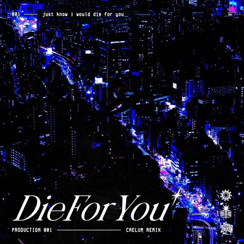 DIE FOR YOU