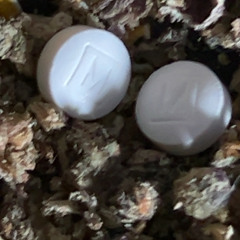 pill prod. 1searchlight & control
