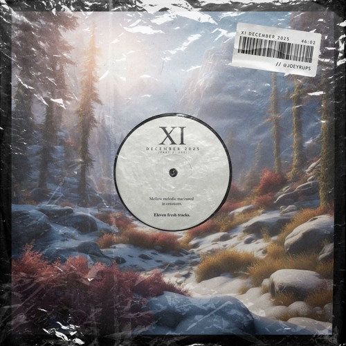 XI - December 2025 (Part 2: Joe)