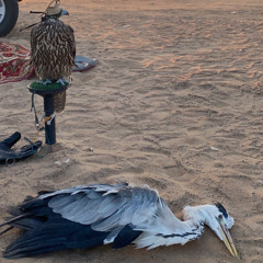 طلال مداح ياحبيبي اسمك امل (عود)