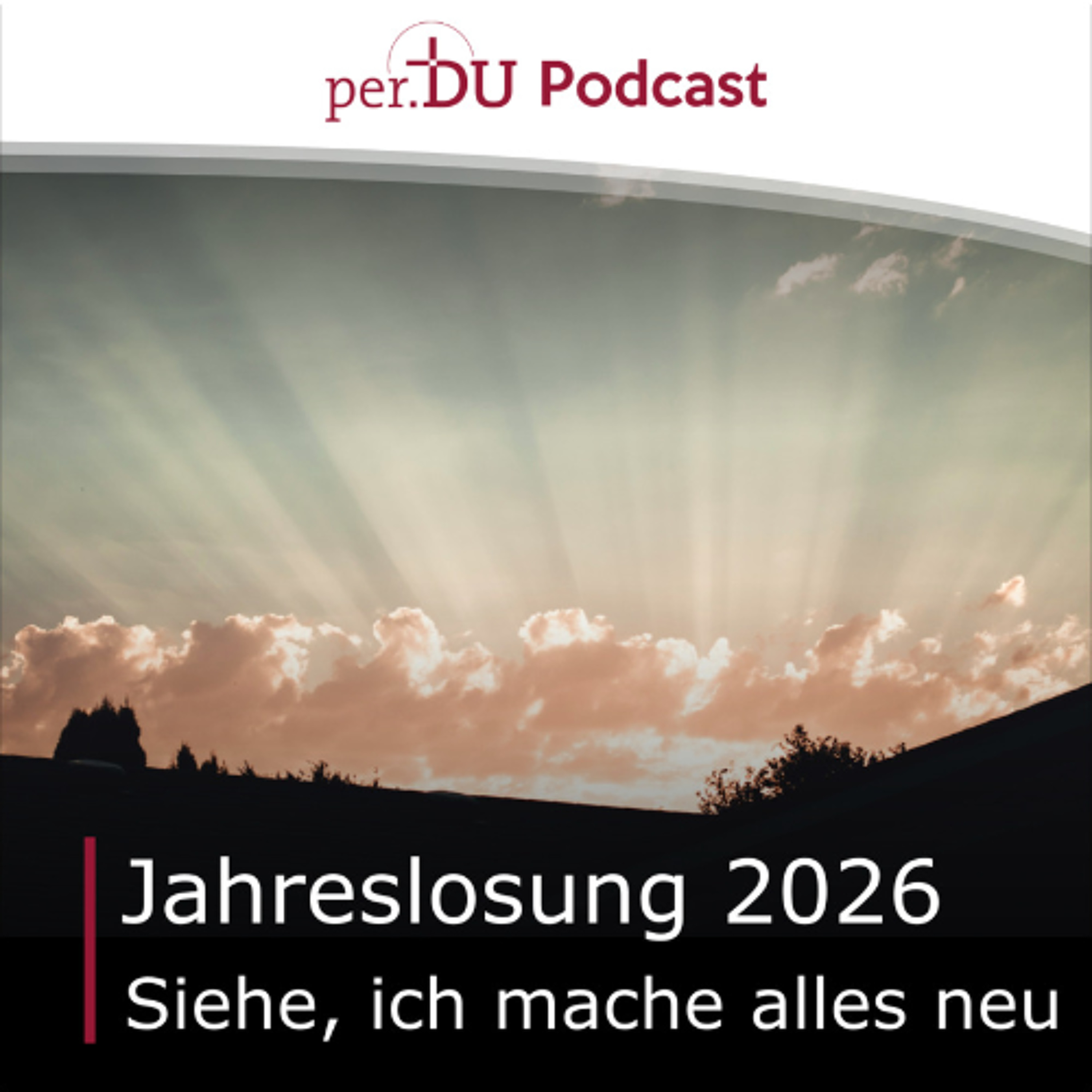 Silvester Gottesdienst - Jahreslosung Offenbarung 21,5 - Reinhard Mall episode artwork