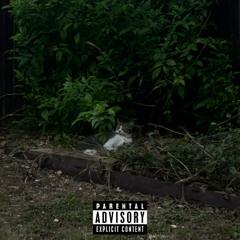 sincere7th x asighlem - dressing room