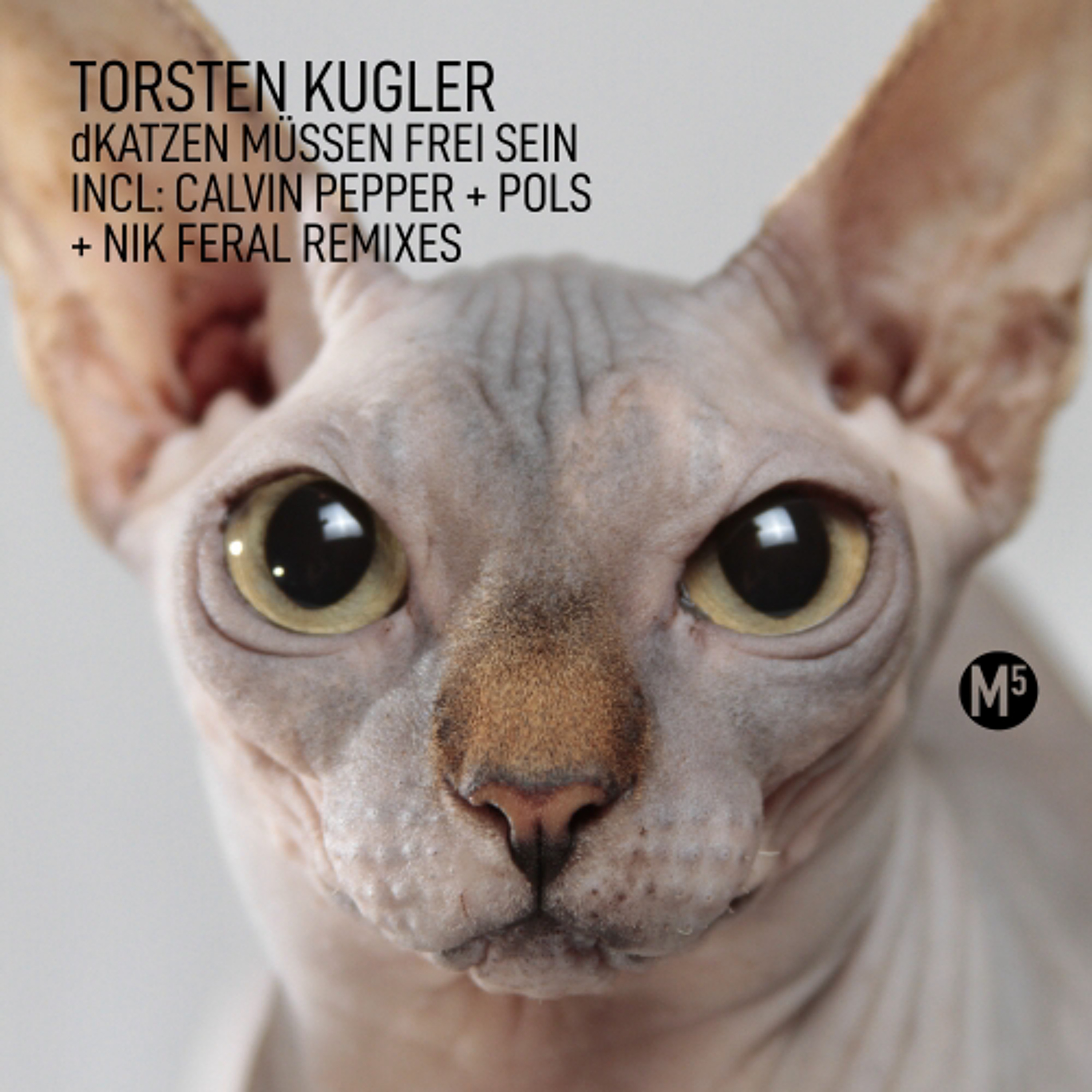BRM PREMIERE: Torsten Kugler - dKatzen Müssen Frei Sein  (POLS Remix) [M5 Records] episode artwork