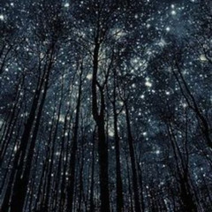 Ancient Forest Lullabies (Skyfish 2015)