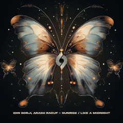 Idin Gorji, Arash Raouf - Sunrise [Journey of the Soul]
