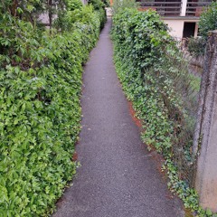 Small Street