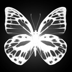 (Original) Monochrome Butterfly