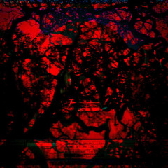 игры с асфиксией