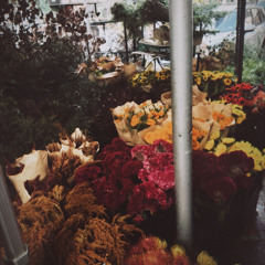 daises x face to face_mix