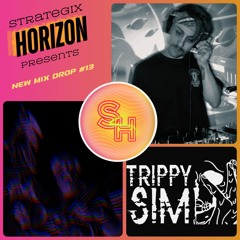 MIXDROP #13 / TRIPPYSIM