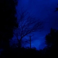 Bluey skies freestyle:)