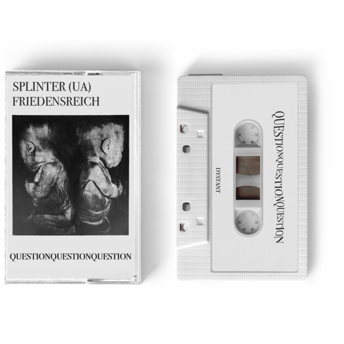 Premiere: Friedensreich  - Every F - Ing Day [Dystant Records]
