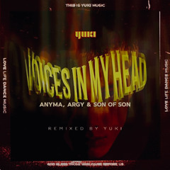 Voices In My Head (remix)