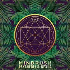 MindRuSh - Psychedelic Nexus / Progressive Psy Set (FlowMix) @ Dolten Club | 2022-05-29 (135-140bpm)