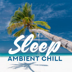 TNZ ft Ben Bezoin De Toi (Minty Inspiration Remix)