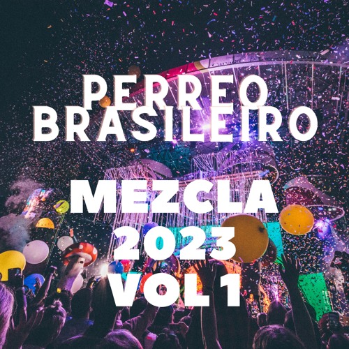Stream PERREO BRASILEIRO MEZCLA 2023 VOL 1 by DJ MEZCLADOR Listen online for free on SoundCloud