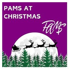 NEW: Christmas Bloopers Tape (1971) - PAMS Productions