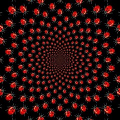 Moog Conspiracy @ Late Night Lady Bug ( DK, Copenhagen ) 12.09.2020
