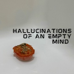 Hallucinations of an Empty Mind
