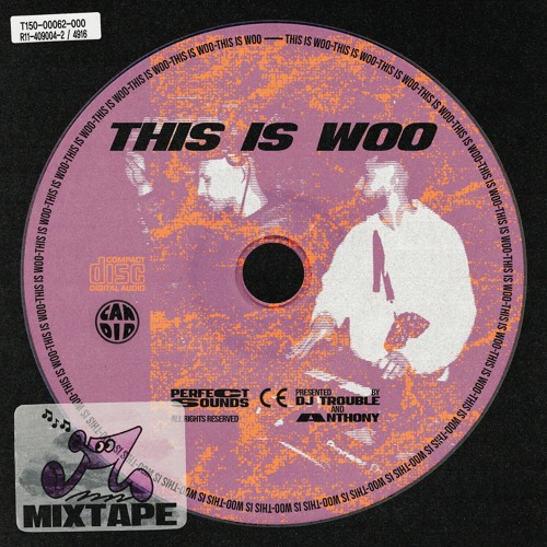 THIS IS WOO Mixtape w. Trouble