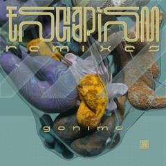 gonima - Sculpt3-spaces (Kazuki Koga Remix)