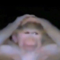 kissy kissy(remix).mp3