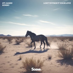 DT James & Kimbo - Lost Without Your Love