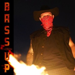 BASS UP