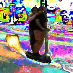 NO RECUPERATION - Northat B2B Hippo