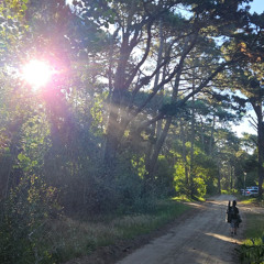 desierto, luna - ALLDLE semana ¿? (ya me perdí) - Julian