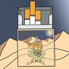 Paquet De Camel (prod.TROYVIXIOUS)