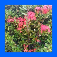 Espero Que Fique Tudo Bem. Afinal, Você É Um Universo Expandindo