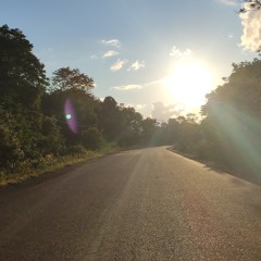 Raul Mota - am240