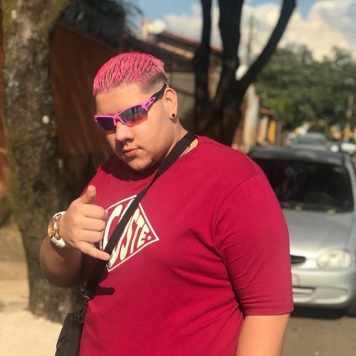 MILU VERSÃO FUNK - DJ GORDÃO DO PC (Part MC SACI E MC RD)