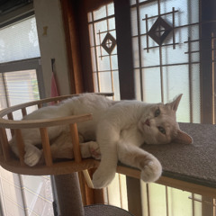 Welcome Seoul (21.09.22)