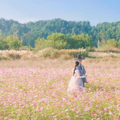 구르미 그린 달빛 study playlist