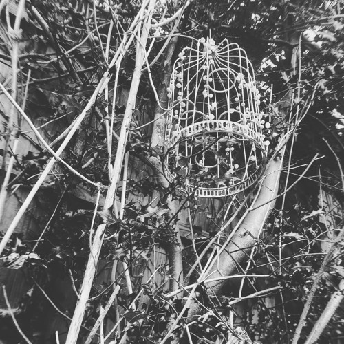 Bailando a través del Dolor