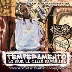 Temperamento (ft. Gemstar, Big Mato, Y Willie Sante) - Mete Mano - Sped Up
