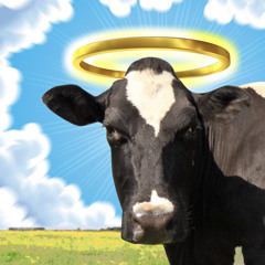 Holy Cow