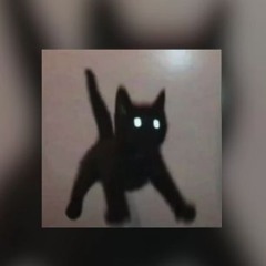 Manu Chao - Me Gustas Tu (sped Up)