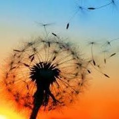 Nick Nairoby . ~ - The Self - Exile Hyperchange