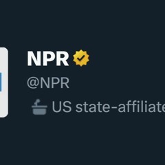For The Record, NPR Absolutely Is US State Propaganda
