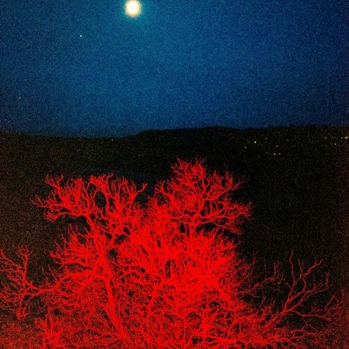 Stream real life story by QUACKE | Listen online for free on SoundCloud