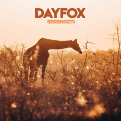 DayFox - Serengeti (Free Download)